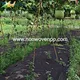 weed control non woven fabric